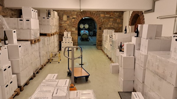 PHOTO-2024-10-28-17-33-04 3