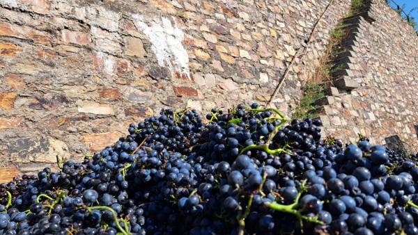 PHOTO-2024-10-28-17-33-04 5