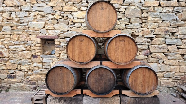 PHOTO-2024-10-28-17-33-05 2