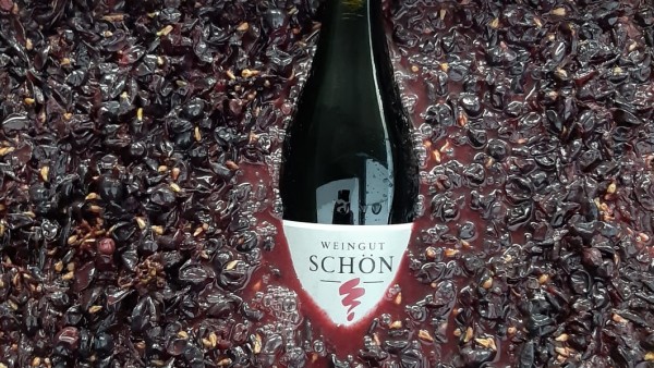 PHOTO-2024-10-28-17-33-05