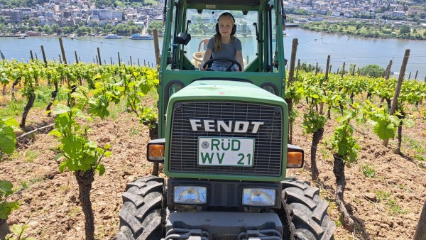 b1d4ef04-d54f-43a5-b011-1b03fd47d40f