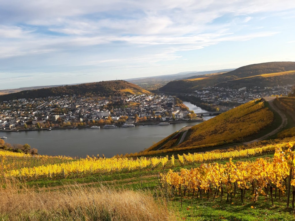 Impressionen | Weingut Schön